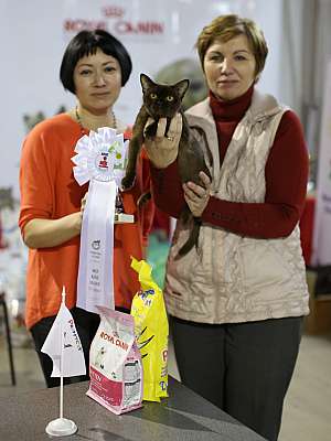 �������� ����� 22-23 ������ 2014 WCF-����� 6-174-169A8261 copy.jpg